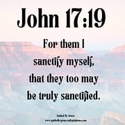 I SANCTIFY MYSELF / JOHN 17:19