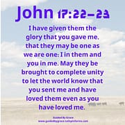 THE GLORY THAT YOU GAVE ME / JOHN 17:22-23