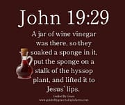 WINE VINEGAR / JOHN 19:29