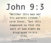 WORK OF GOD MIGHT BE DISPLAYED / JOHN 9:3
