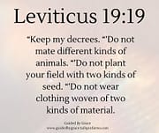 TWO KINDS OF MATERIAL / LEVITICUS 19:19