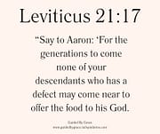 HAS A DEFECT / LEVITICUS 21:17