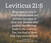 HOLY TO THEIR GOD / LEVITICUS 21:6