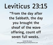 SEVEN FULL WEEKS / LEVITICUS 23:15
