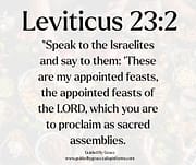 APPOINTED FEASTS OF THE LORD / LEVITICUS 23:2