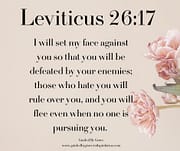 SET MY FACE AGAINST YOU / LEVITICUS 26:17