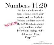 YOU HAVE REJECTED THE LORD / NUMBERS 11:20