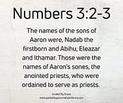 ANOINTED PRIESTS / NUMBERS 3:2-3
