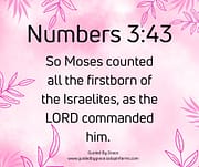 FIRSTBORN / NUMBERS 3:43