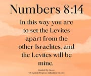 SET THE LEVITES APART / NUMBERS 8:14
