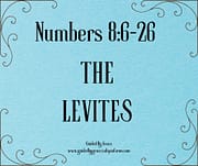 THE LEVITES / NUMBERS 8:6-26