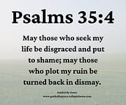 DISGRACED AND PUT TO SHAME / PSALMS 35:4