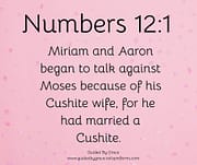 CUSHITE WIFE / NUMBERS 12:1