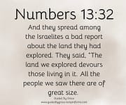 A BAD REPORT / NUMBERS 13:32