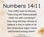 REFUSE TO BELIEVE IN ME / NUMBERS 14:11