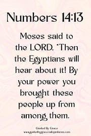 EGYPTIANS WILL HEAR ABOUT IT! / NUMBERS 14:13