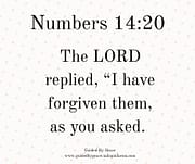 I HAVE FORGIVEN / NUMBERS 14:20