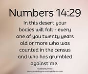 YOUR BODIES WILL FALL / NUMBERS 14:29
