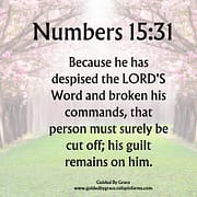 DESPISED THE LORD'S WORD / NUMBERS 15:31