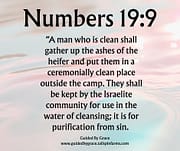FOR PURIFICTION FROM SIN / NUMBERS 19:9