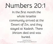 IN THE FIRST MONTH / NUMBERS 20:1