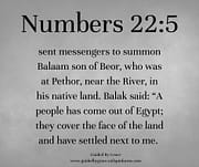 BALAAM / NUMBERS 22:5