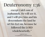 FOLLOWED THE LORD WHOLEHEARTEDLY / DEUTERONOMY 1:36