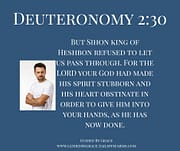 THE LORD ... MADE HIS SPIRIT STUBORN / DEUTERONOMY 2:30