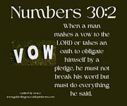 MAKES A VOW / NUMBERS 30:2