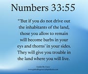 IF YOU DO NOT DRIVE OUT THE INHABITANTS / NUMBERS 33:55