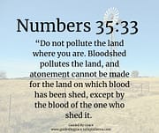 NOT POLLUTE THE LAND / NUMBERS 35:33