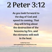 SPEED ITS COMING / 2 PETER 3:12