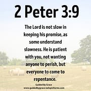 NOT WANTING ANYONE TO PERISH / 2 PETER 3:9