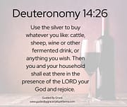 WINE OR OTHER FERMENTED DRINK ... YOU AND YOUR HOUSEHOLD / DEUTERONOMY 14:26