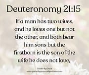 TWO WIVES / DEUTERONOMY 21:15