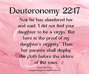 DAUGHTER'S VIRGINITY / DEUTERONOMY 22:17