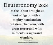 THE LORD BROUGHT US OUT / DEUTERONOMY 26:8