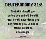 NEVER LEAVE YOU NOR FORSAKE YOU / DEUTERONOMY 31:8