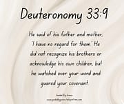 DID NOT RECOGNIZE HIS BROTHERS / DEUTERONOMY 33:9