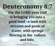 LAND WITH STREAMS AND POOLS / DEUTERONOMY 8:7