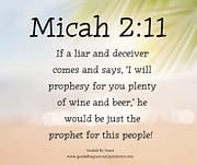 WINE AND BEER / MICAH 2:11