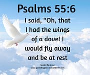WINGS OF A DOVE ... I WOULD FLY AWAY / PSALMS 55:6