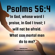 WHOSE WORD I PRAISE / PSALMS 56:4