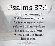 IN THE SHADOW OF YOUR WINGS / 57:1