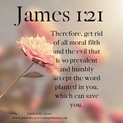 GET RID OF ALL MORAL FILTH - WORD PLANTED IN YOU / JAMES 1:21