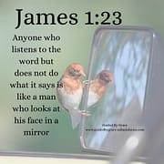 LOOKS AT HIS FACE IN A MIRROR / JAMES 1:23
