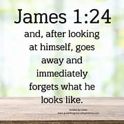 FORGETS WHAT HE LOOKS LIKE / JAMES 1:24