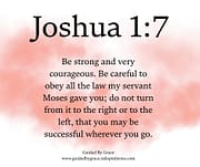 OBEY ALL THE LAW / JOSHUA 1:7