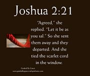 SCARLET CORD / JOSHUA 2:21