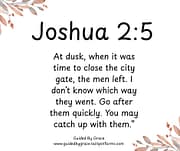 I DON'T KNOW WHICH WAY THEY WENT / JOSHUA 2:5